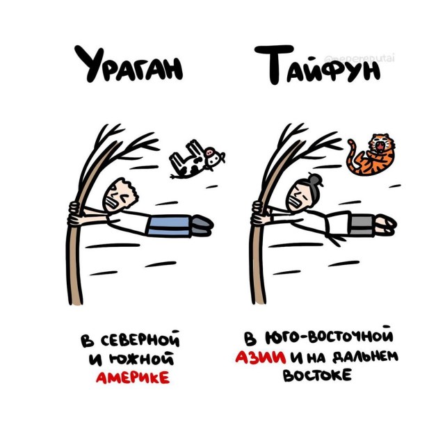 Смотри, Кутузов, не перепутай... vol.3
