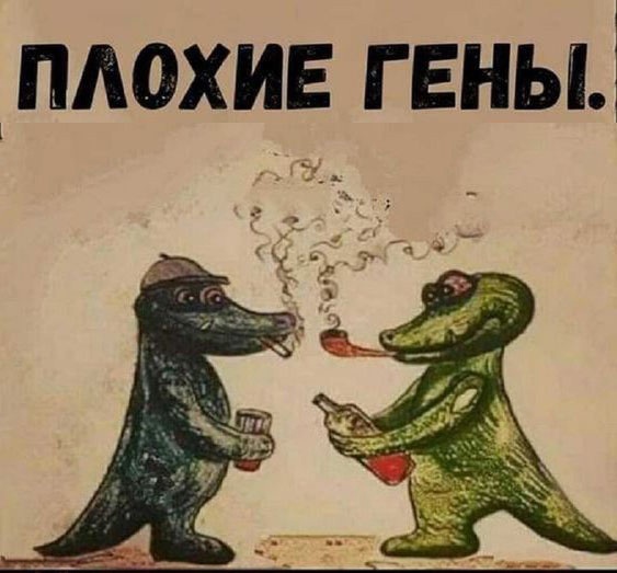 Картинки и мемы, всяко разно - 179