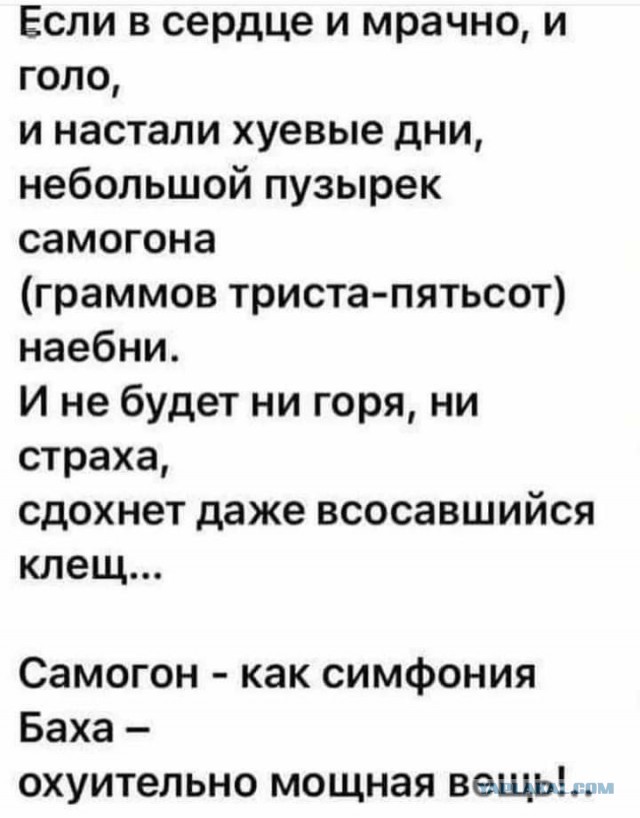 Алкокартинки