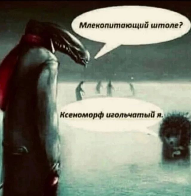 Прикольные и просто красивые картинки 29.09.2023