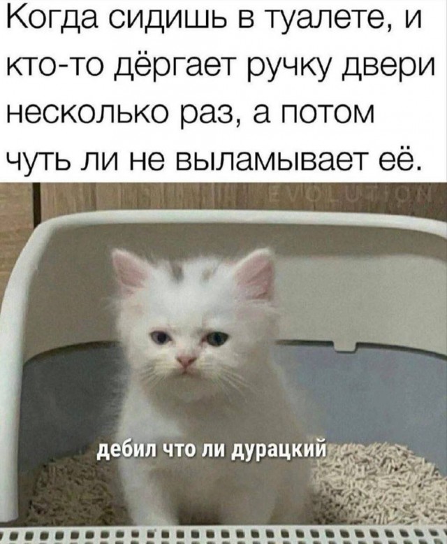 Весёлый полтишок 10.10.23