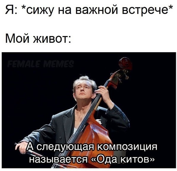 Весёлый полтишок 01.11.23
