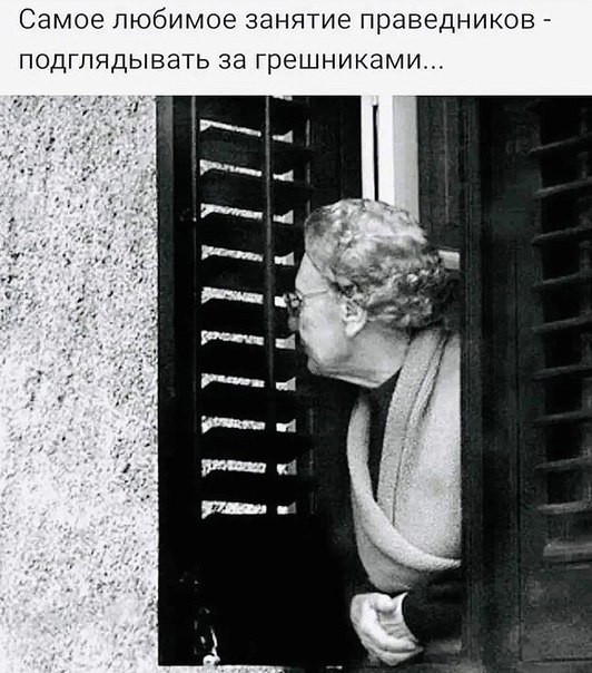 Весёлый полтишок 19.11.23