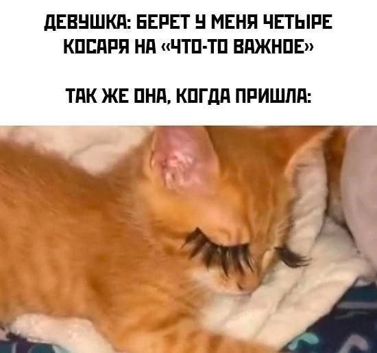 Немного картинок и прочей хреноты Vol. 29