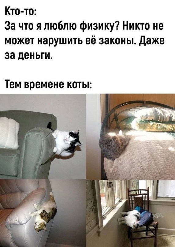 Весёлый полтишок 30.04.24