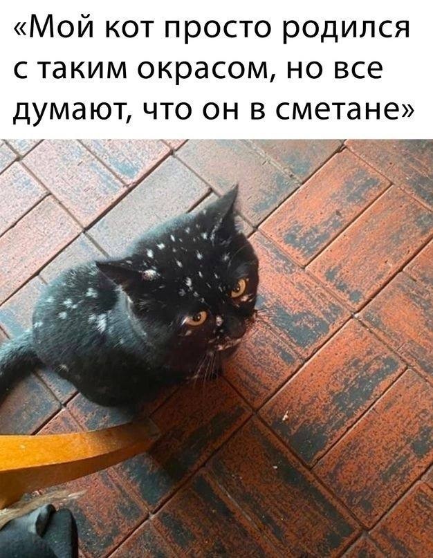 Так себе картинки 30.04.24