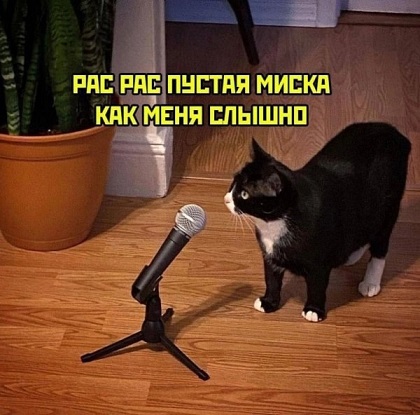 Очередь за забором