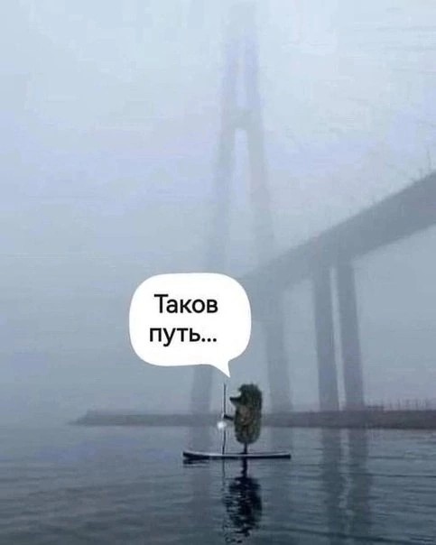 "Бл*ть, слышишь, нах*й! Смелости дох*я, да…? Думаешь я тебя боюсь…?!"