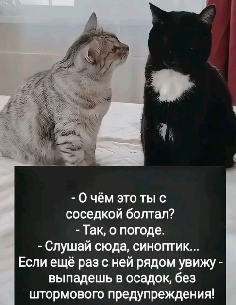 А не побаянить ли мне по старой памяти