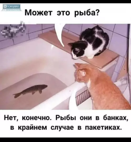 Картиночки, баянчики 8 марта