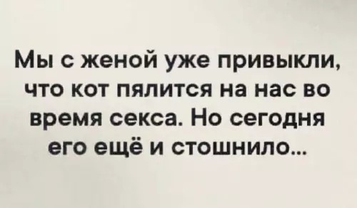 Подборка картинок-баянов с котиками и про котиков. Выпуск 34.