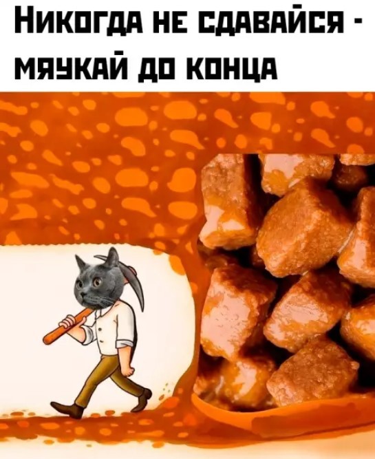 Картинки для деградации 230 (разной степени свежести)