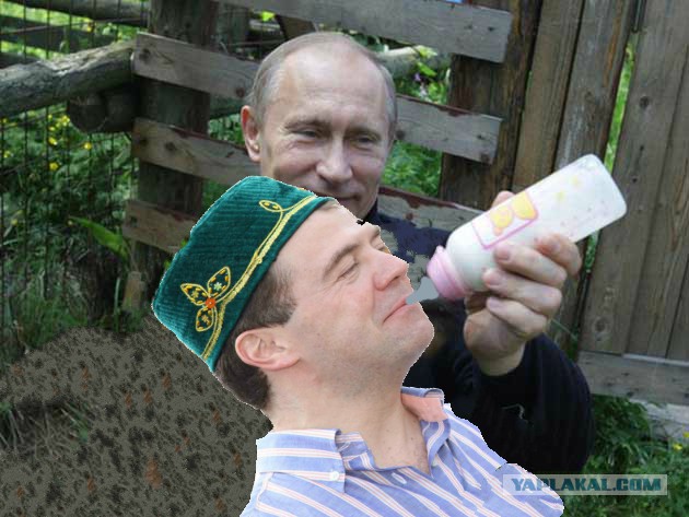 Содержать россиянина дешевле, чем ежа!
