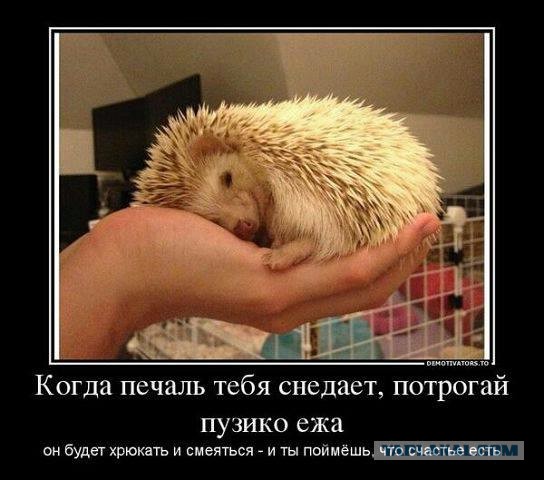 "Вот такое чудо обнаружил знакомый, когда..."