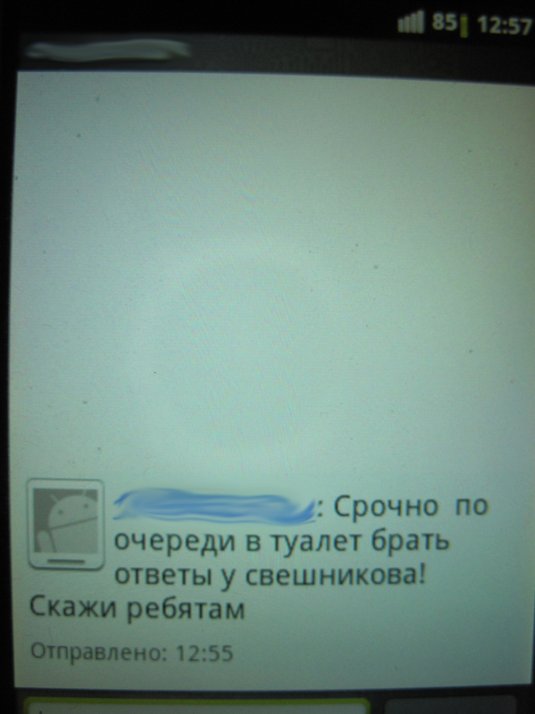 Срочно по очереди в ТУАЛЕТ!