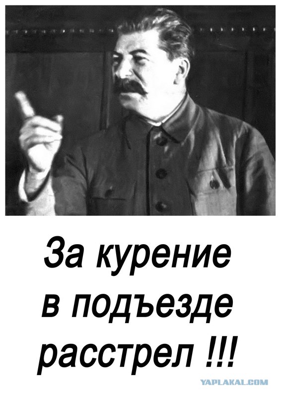 Студенческая жизнь в фотографиях
