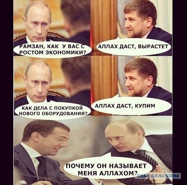 Свежие картинки из сети