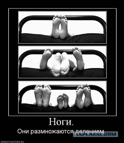 Смешные картинки