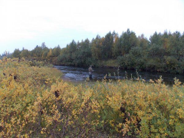 14 дней на Кольском полуострове