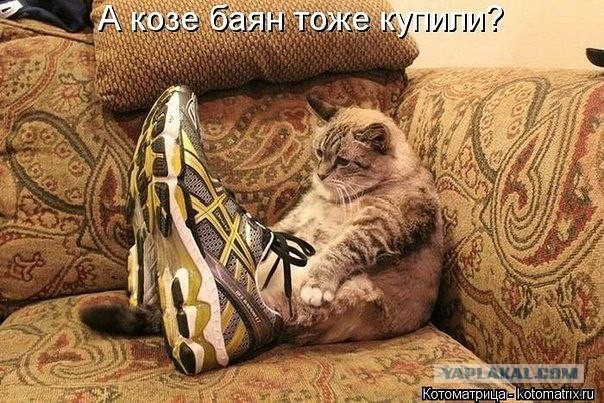 Весёлое из сети
