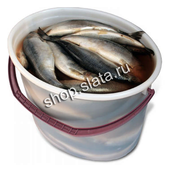 И сразу довольный такой становишься!