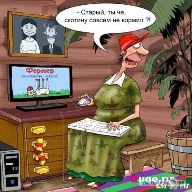 Смешные комментарии из социальных сетей