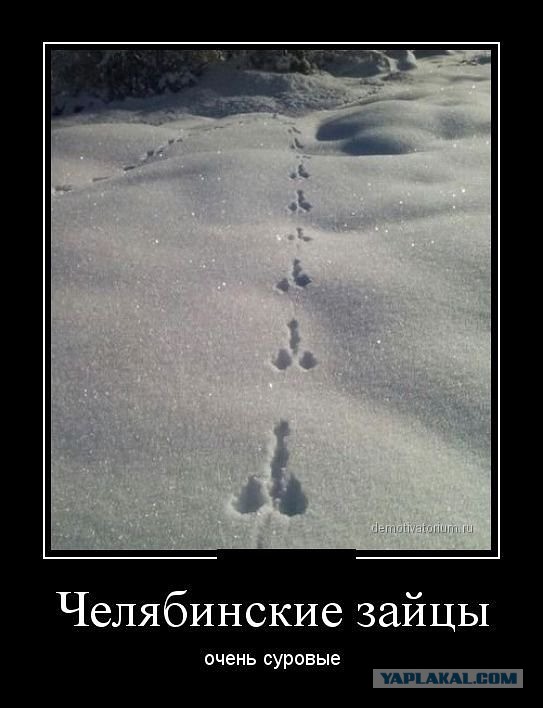Просто картинки