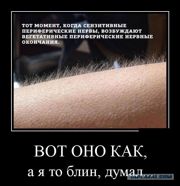 Картинки в черной рамке