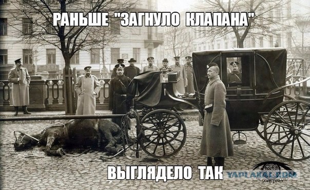 Очередная порция картинок