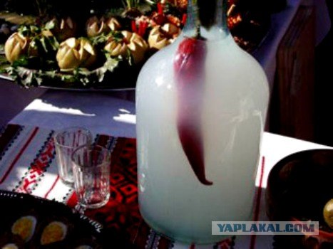 Инструкция для начинающего бармена