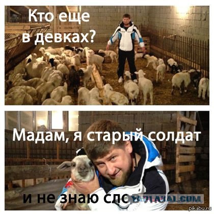 В МВД назвали недопустимым заявление Кадырова
