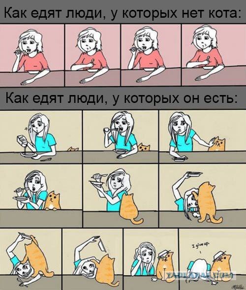 Смешные комментарии из социальных сетей