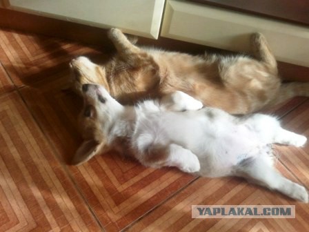 Всех с любимым четвергом! Бабаки-Барабаки!