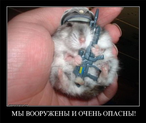 ДНР Парад Победы