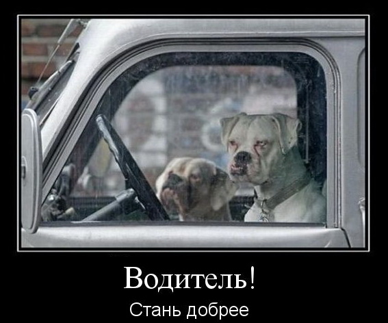 Всегда с собой топор вожу...