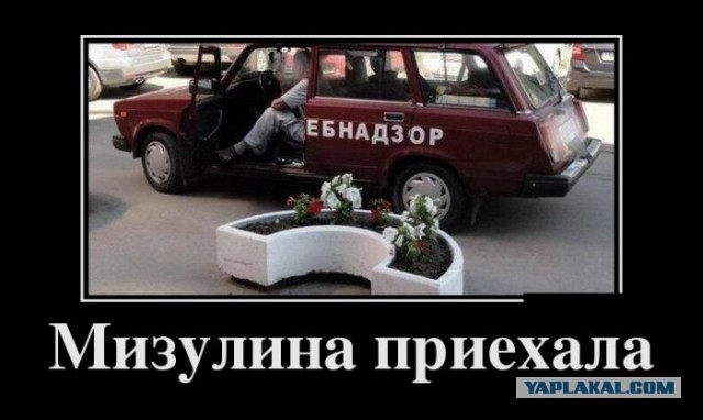 Мизулина в Глобус-Гурмэ