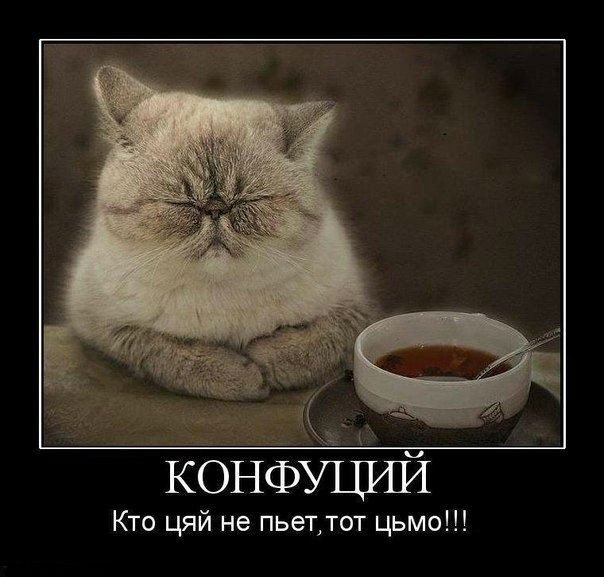 Немного картинок и демотиваторов