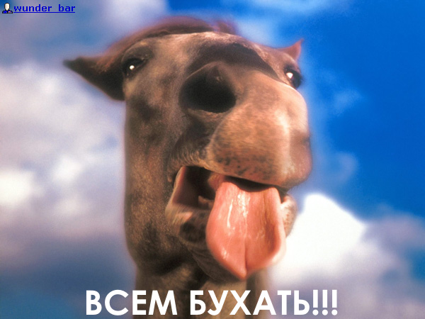 ПЯТНИЦА. Как все начинается!