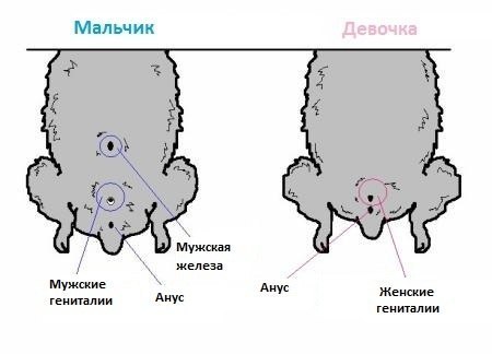 Электронная сигарета - вред или польза?