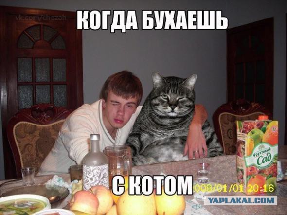 Подборка картинок ни о чём