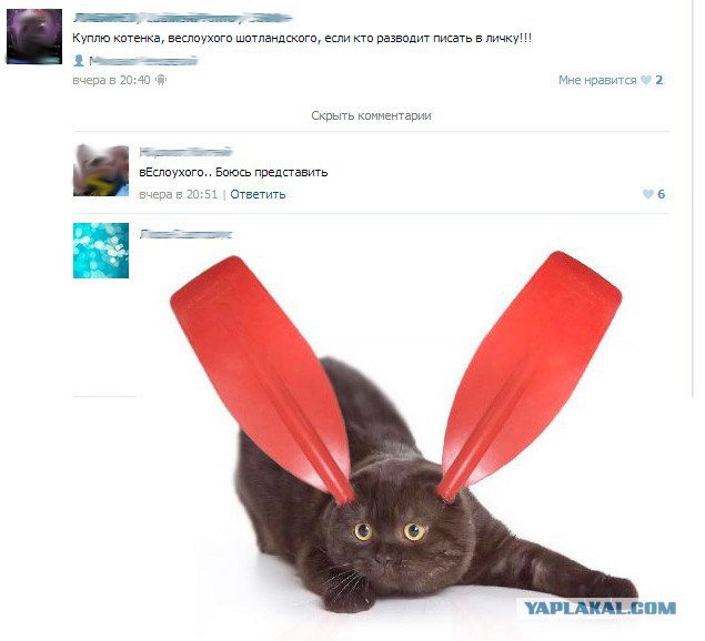 Непростительные ошибки