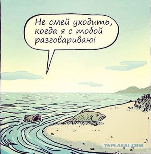 Абсурдный юмор ч.17