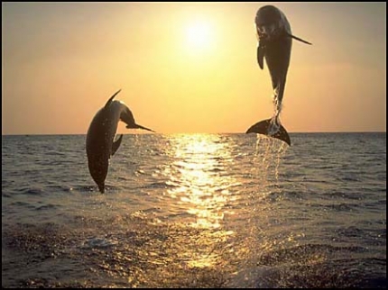 Свежая подборка красивых фото