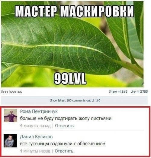 Ужасы и приколы из соцсетей 18+