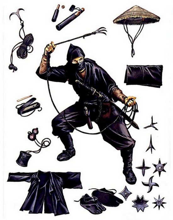 25 малоизвестных и увлекательных фактов о японских ниндзя