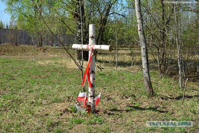 Ганапольский и сам бы рад признать свои ошибки. Но...