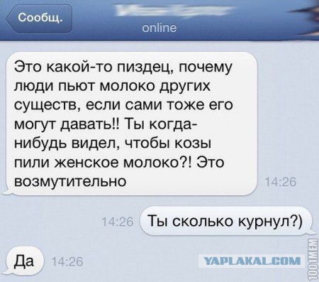 Смешные комментарии из социальных сетей 23.09.2016