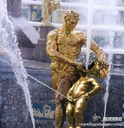 Алабай в стае бродячих собак. Нападение