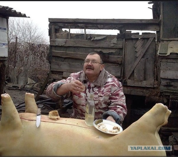 Содержимое холодильника семей разных стран