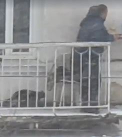 Почему бы трем благородным донам не испить ируканского